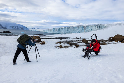 From Lens to Activism: Artem Shestakov's Journey into Antarctica's Ecosystem
