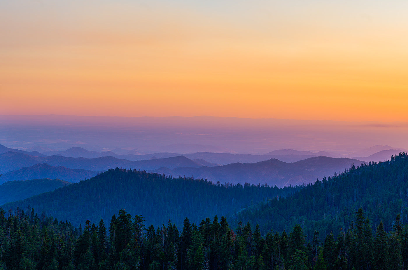Sequoia Park Sunset. Fine Art Photograph by Artem Shestakov.